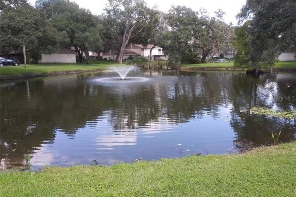 Cozy 3 Bed 2.5 Bath Located Near Busch Gardens Apartment Tampa Ngoại thất bức ảnh
