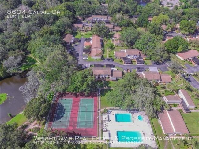 Cozy 3 Bed 2.5 Bath Located Near Busch Gardens Apartment Tampa Ngoại thất bức ảnh